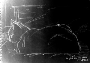 la petite noir et blanc